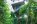 Daintree Discovery Centre